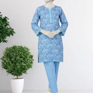 sky blue paisley printed 2pc stitched set